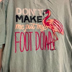 Lincoln outfitters flamingo tee